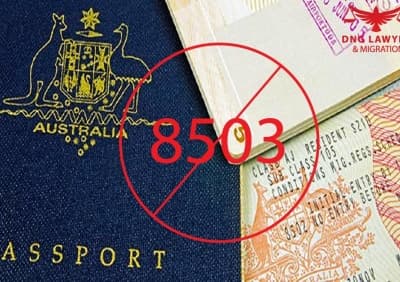 article-dieu-khoan-8503-luat-di-tru-uc